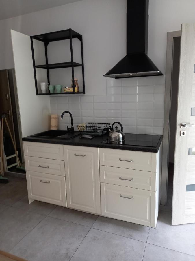 Apartament Przy Obozie Освенцим Экстерьер фото